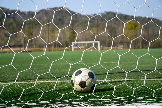 到稀有款 到稀有款