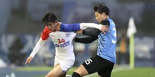 加坡队的骆 加坡队的骆