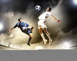 一个理想的 一个理想的