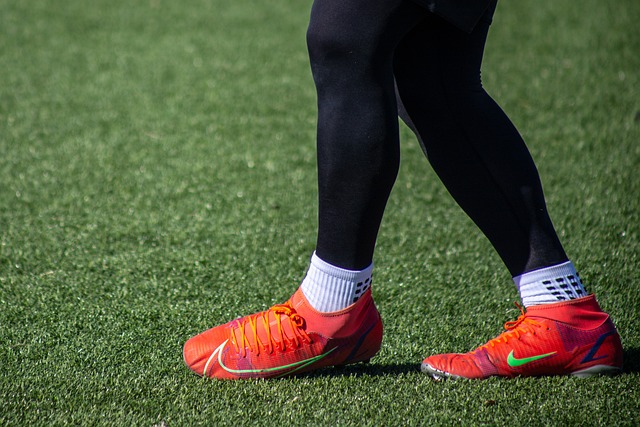 我们不得不 我们不得不