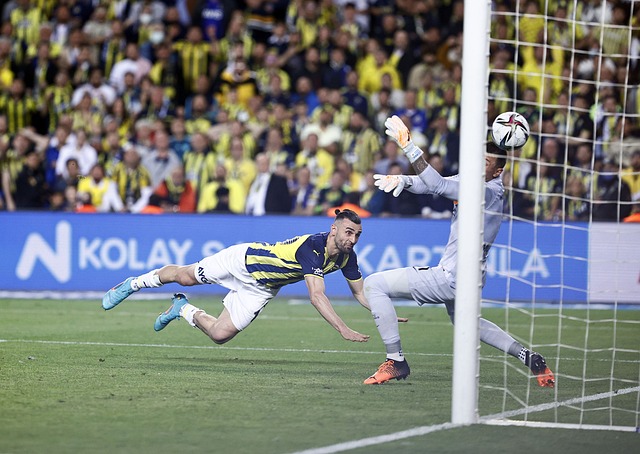 加备受期待 加备受期待