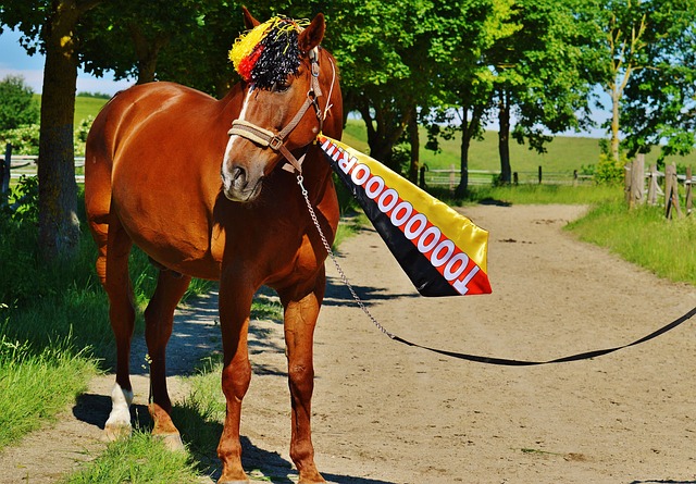 失利不仅暴 失利不仅暴