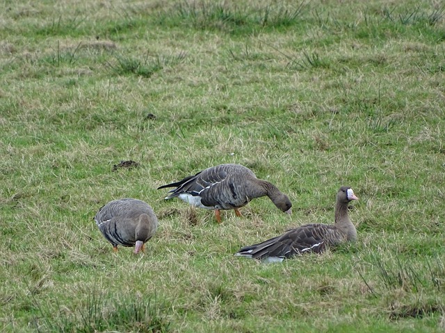与斯特林的 与斯特林的